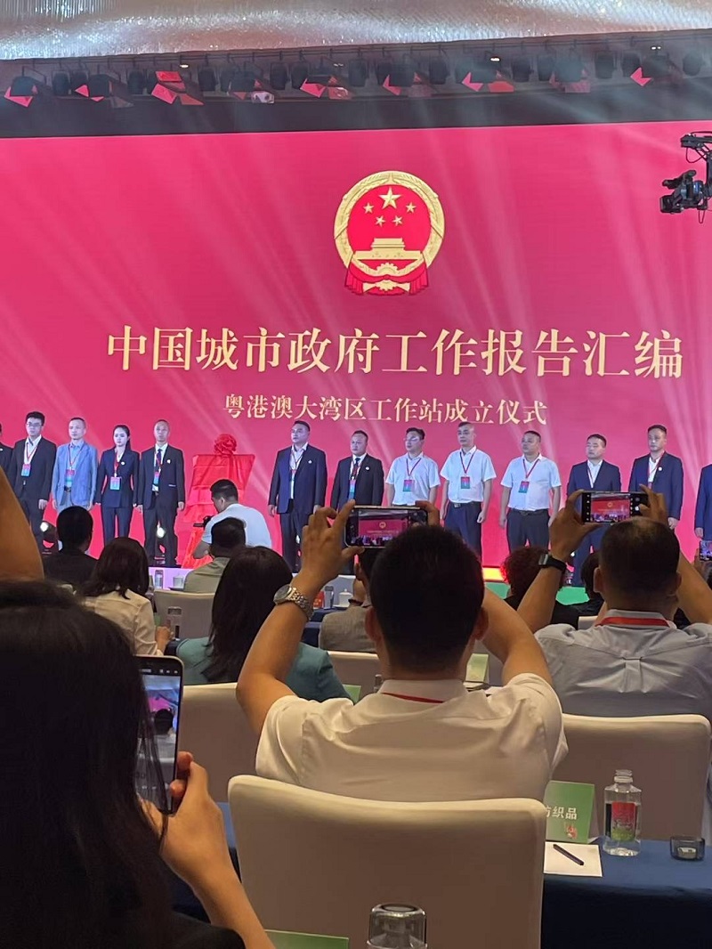 软件开发服务